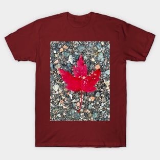 Red Maple Leaf T-Shirt